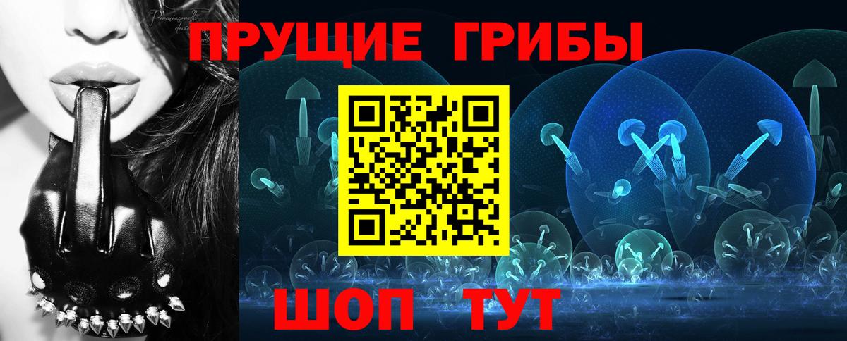 Галлюциногенные грибы MAGIC MUSHROOMS  Вход с VPN  Семёнов 