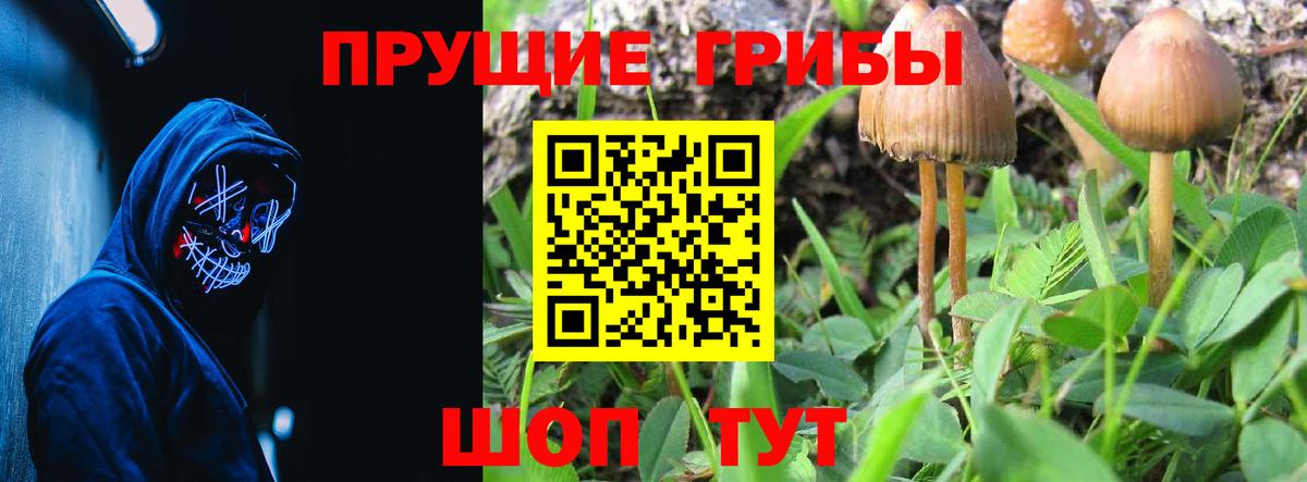 Галлюциногенные грибы Magic Shrooms Семёнов