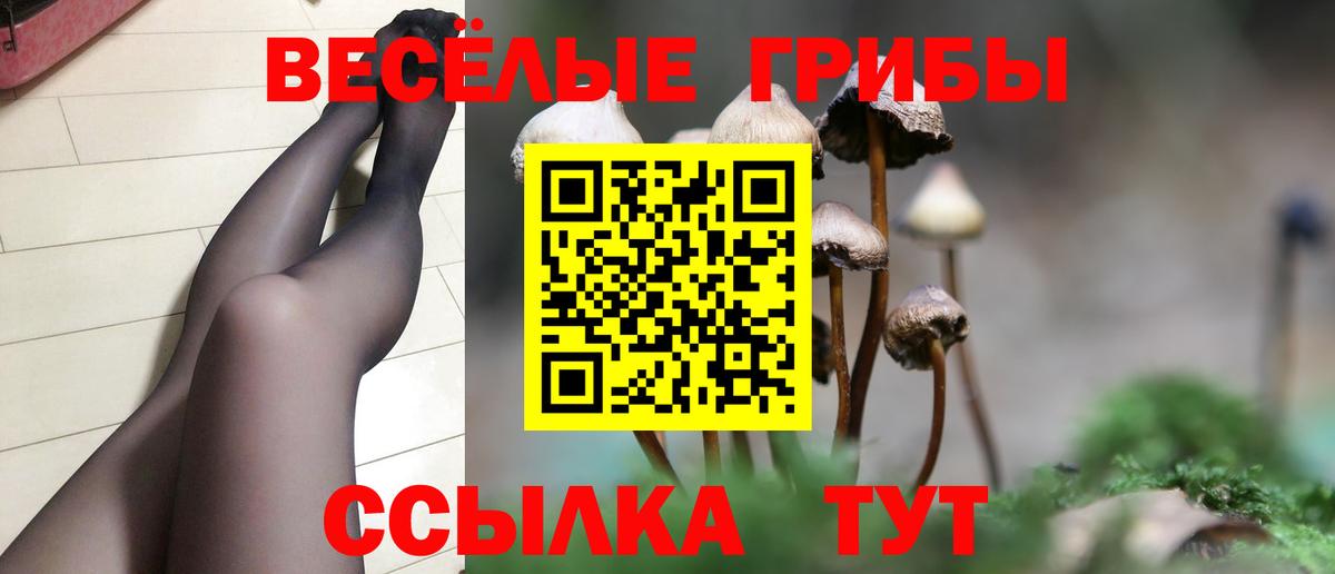 Семёнов  ГАШИШ  АМФЕТАМИН кристаллы  Меф МЯУ МЯУ   НБОМе  Вход с VPN  Канабис  Сколько стоит  МДМА  ГАШИШ 